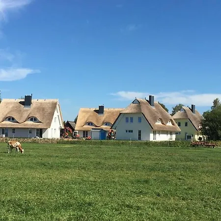 Reetdachhaeuser